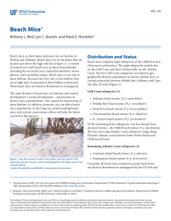 Beach mice - EDIS - University of Florida
