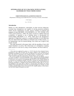 OPTIMISATION OF NUT-CRACKING WITH NATURAL HAMMERS