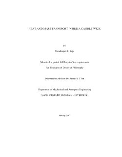 heat and mass transport inside a candle wick
