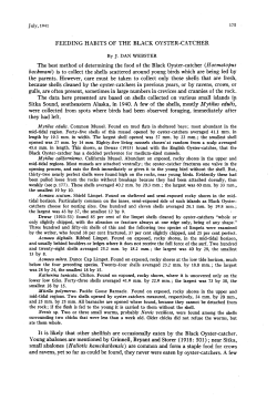 Feeding Habits of the Black Oyster