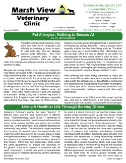 Summer/Spring - Marsh View Veterinary Clinic