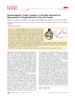 Electromagnetic Torque Tweezers: A Versatile Approach for