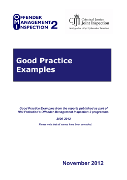 Good Practice Examples - Criminal Justice Inspectorates