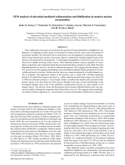 TEM analysis of microbial mediated sedimentation and lithification in