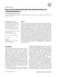 Deep-sea vent chemoautotrophs: diversity