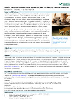 Invasive carnivores in marine nature reserves: do foxes and