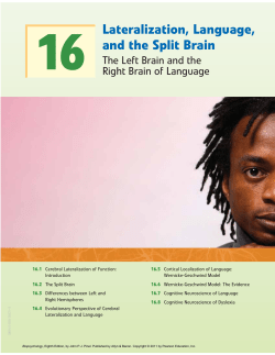 Biopsychology, 8/e E-Book for WIU