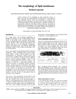 The morphology of lipid membranes - Max-Planck