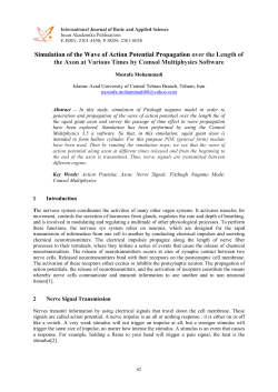 Simulation of the Wave of Action Potential Propagation over the
