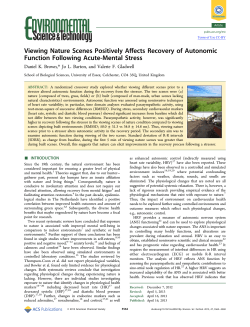Viewing Nature Scenes Positively Affects
