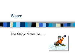 The Magic Molecule&hellip;..
