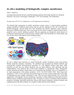 In silico modeling of biologically complex membranes