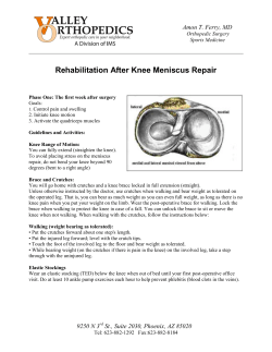 Rehabilitation After Knee Meniscus Repair