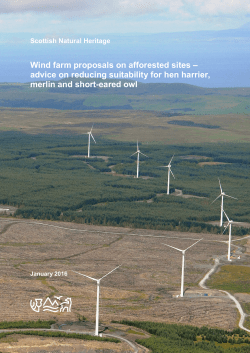 Wind farm proposals on afforested sites
