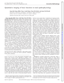 Quantitative imaging of basic functions in renal - AJP
