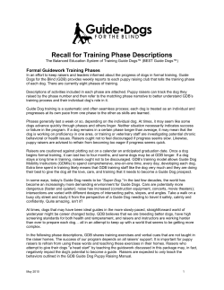 formal training phases explained