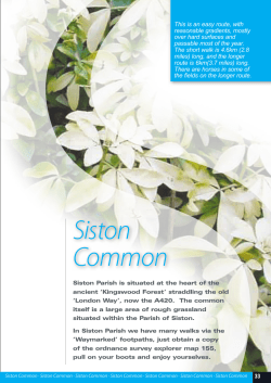 Siston Common