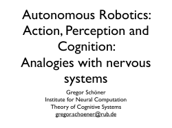 Autonomous Robotics: Action, Perception and Cognition: Analogies