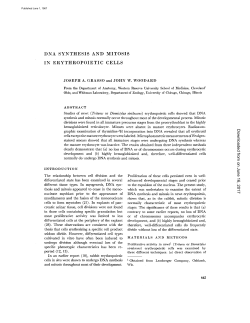DNA SYNTHESIS AND MITOSIS IN ERYTHROPOIETIC CELLS on