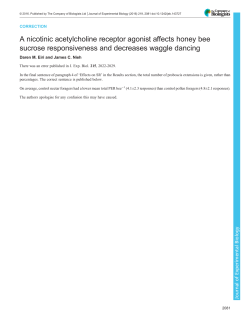 A nicotinic acetylcholine receptor agonist affects honey bee sucrose
