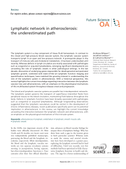 Lymphatic network in atherosclerosis: the underestimated path