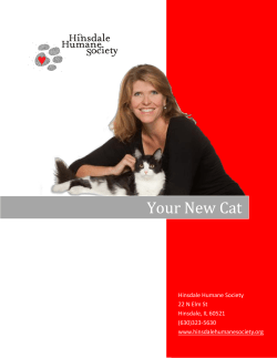 Your New Cat - Hinsdale Humane Society
