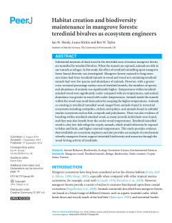 Habitat creation and biodiversity maintenance in mangrove