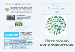 Here Today Gone Tomorrow Parent Leaflet
