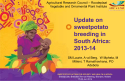 Preview - Sweetpotato Knowledge Portal