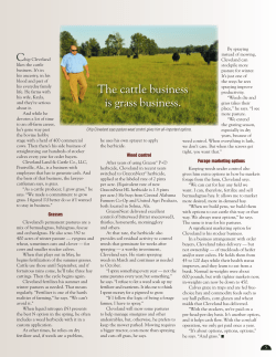 The cattle business is grass business.