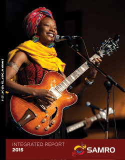 integrated report 2015