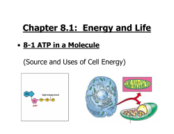 Chapter 8.1: Energy and Life