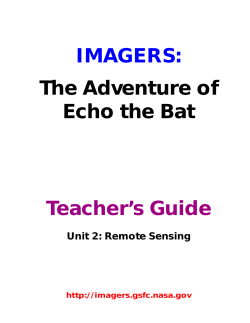 The Adventure of Echo the Bat