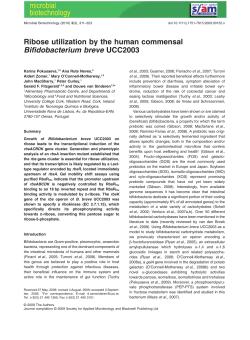 Ribose utilization by the human commensal Bifidobacterium breve