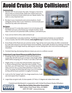 Cruise Ship Flyer: Avoid Cruise Ship Collisions!