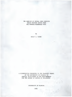Make-up of spinal cord circuits which process inputs from the