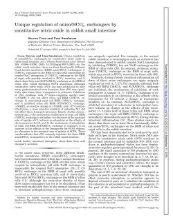 Unique regulation of anion/HCO3 exchangers by