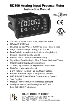 BD300 Analog Input Process Meter