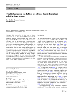 Tidal influences on the habitat use of Indo