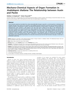 Mechano-Chemical Aspects of Organ Formation in Arabidopsis