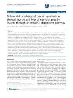 Differential regulation of protein synthesis in skeletal muscle and