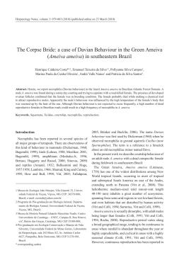 The Corpse Bride: a case of Davian Behaviour in the Green Ameiva