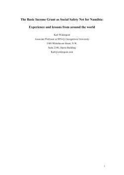 The Basic Income Grant as Social Safety Net for