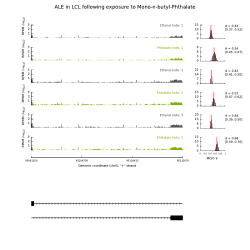 ALE in LCL following exposure to Mono-n-butyl
