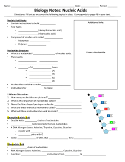 Biology Notes: Nucleic Acids
