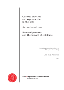 Growth, survival and reproduction in the kelp Saccharina latissima