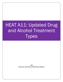 HEAT A11: Updated Drug and Alcohol Treatment Types
