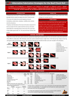 Alternative Fabrication Strategies for the Beef Chuck Roll + + + + +