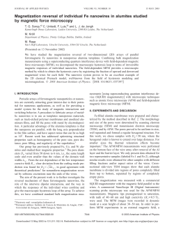 Magnetization reversal of individual Fe nanowires in alumites