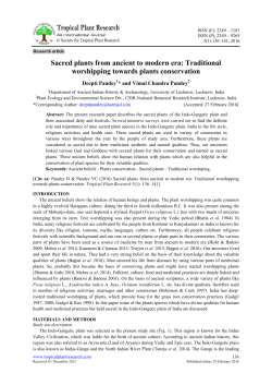 Sacred plants from ancient to modern era